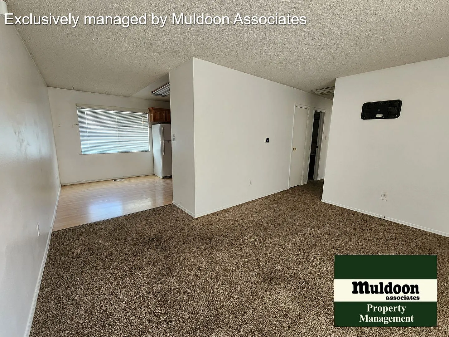 Great Belmont 3 bed 2 bath 2 car garage Rancher. Available now! — Photo 3