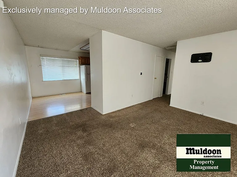 37 Massari Rd — Photo 3