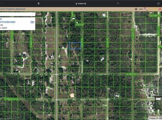 1384 S Jeter Rd, Avon Park, FL 33825