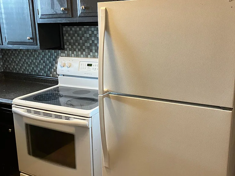 720 Ferdinand Ave SW #21 — Photo 9