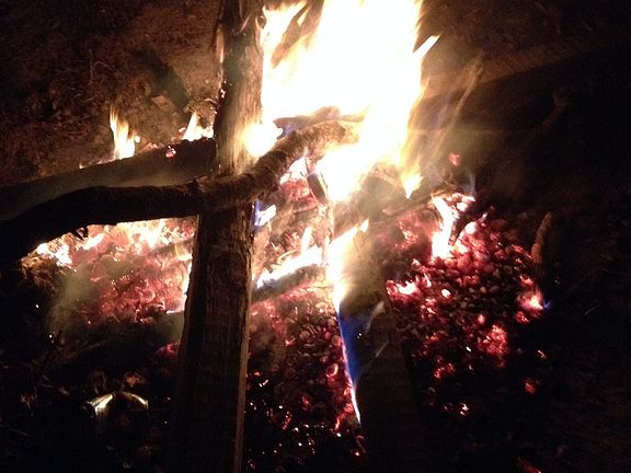 Fire pit in back yard