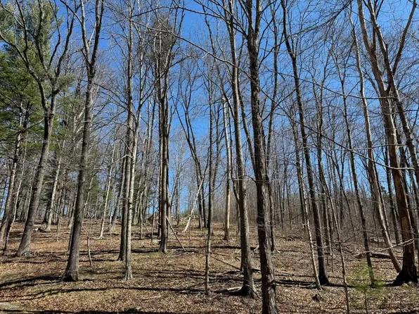 0 Miller Cove Rd, Catawba, VA 24070