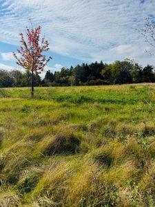 Lt6 EASTVIEW DRIVE, Sharon, WI, 53585