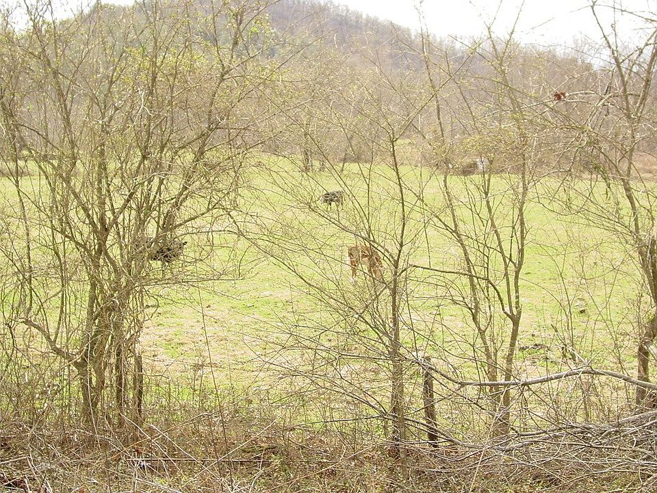 2nd image of Owl Creek Rd