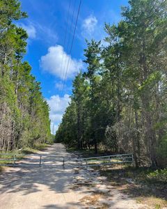 2510 Sandhill Rd, Perry, FL, 32348