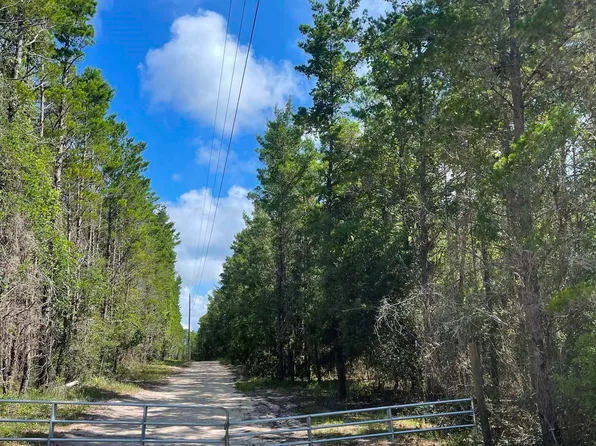 2510 Sandhill Rd, Perry, FL 32348