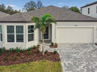 13808 Sunlight Meadow Dr, Riverview, FL 33578