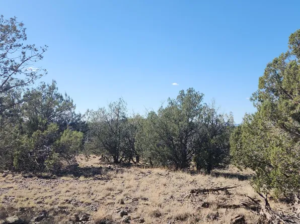 3214 N Kerren Loop, Williams, AZ 86046