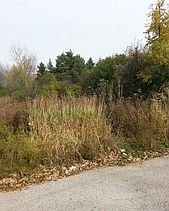 2nd image of 585 Greenview Ave