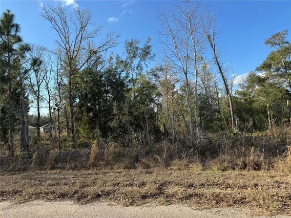 Fisher Lane Way #25, Ocklawaha, FL 32179