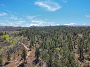 14 King Dr, Dolores, CO 81323