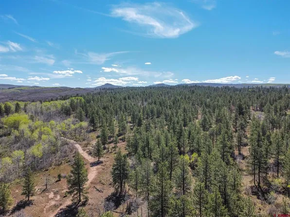 Lot 14 King Drive, Dolores, CO 81323