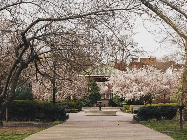 299 Pavonia Avenue image 34 of 43