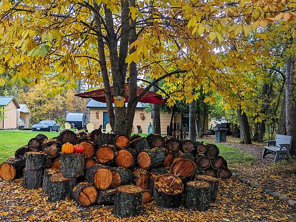 Looking toward the studio in Autumn
