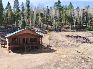 65 David Robins Ln, Eagle Nest, NM 87718