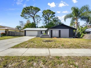 3540 Dove Hollow Ct, Palm Harbor, FL 34683