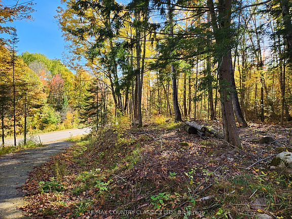 3rd image of 790 Mitchell Rd