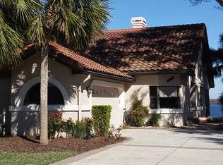 10027 Bridgeview Dr, Howey In The Hills, FL 34737