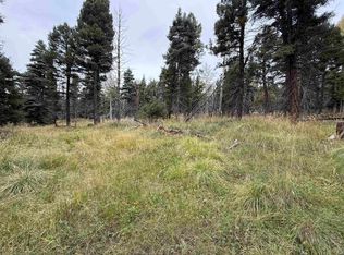 LOT 1469 Cheerful Way, Angel Fire, NM 87710