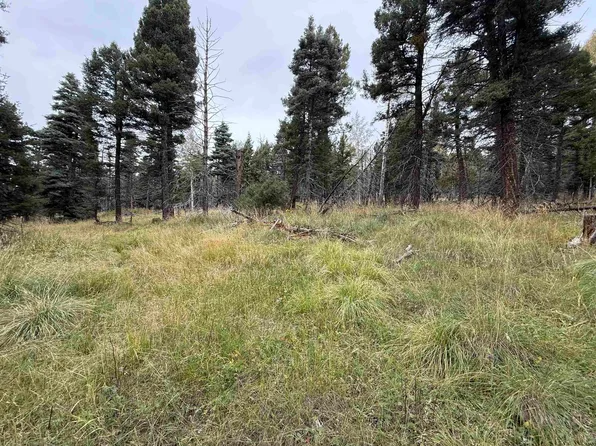 LOT 1469 Cheerful Way, Angel Fire, NM 87710
