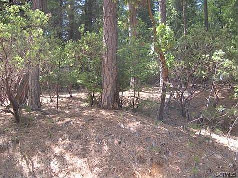 2nd image of 17619 Woodcrest Dr