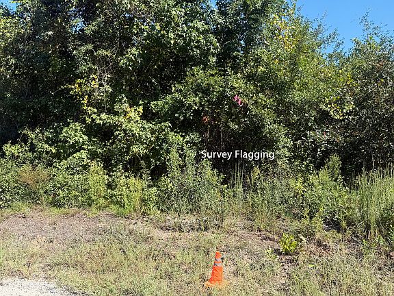 3rd image of 206 Bethany Rd