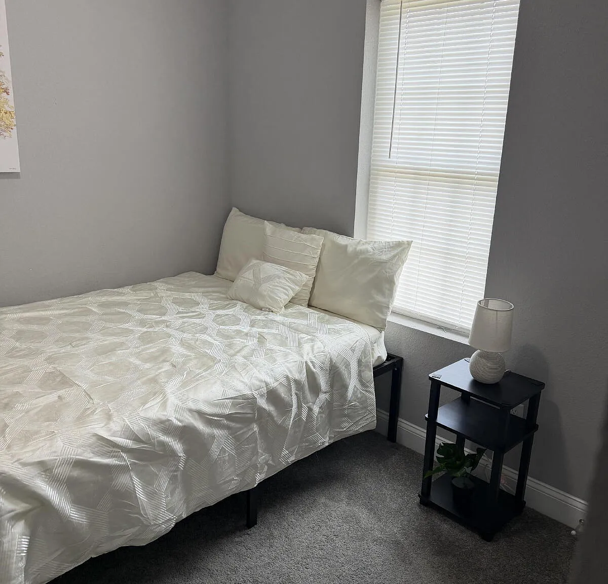 1 bed, $900 — Photo 2