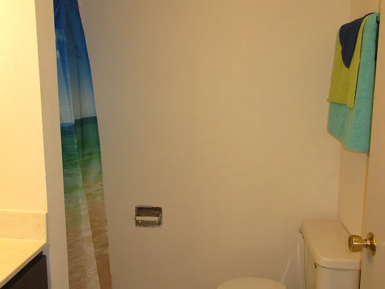 115 E Gorham St #4 — Photo 10