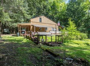 69 Tanglewood Trl, Campbell, NY 14821