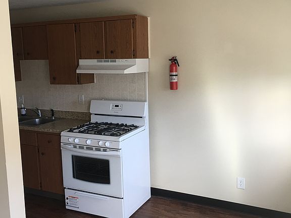 Gas stove