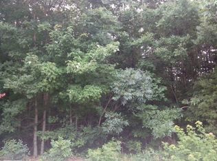 Willow Springs Rd, Ten Mile, TN 37880