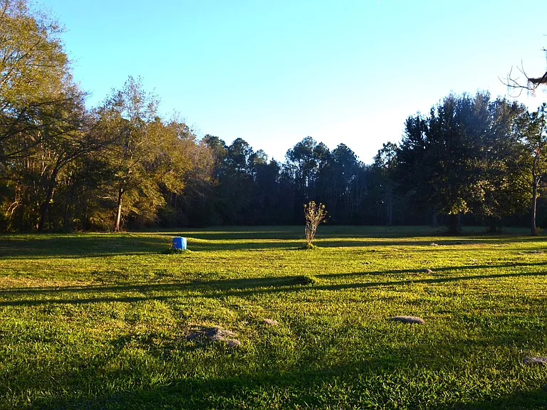 back yard of the home