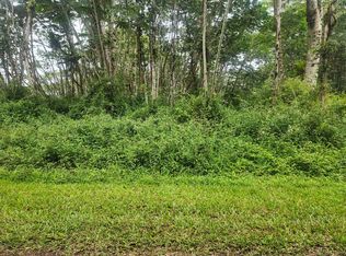 Hawaii Rd LOT 769, Pahoa, HI 96778