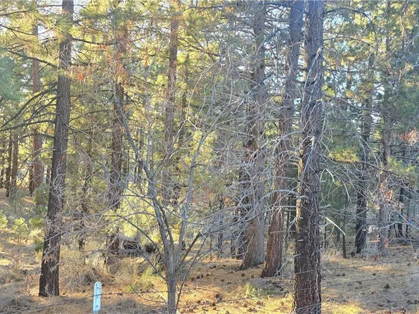 146 Olympic Dr, Big Bear Lake, CA 92315