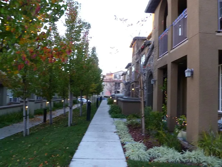 5109 Fioli Loop — Photo 1