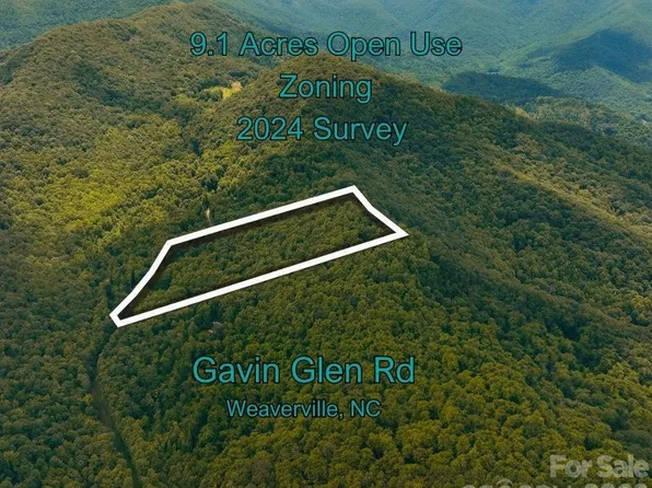 125 Gavin Gln, Weaverville, NC 28787