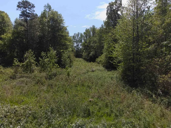 10 Acres Off, Rose Bud, AR 72137