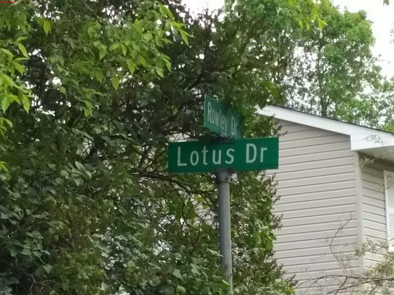 5th image of 3364 Lotus Dr