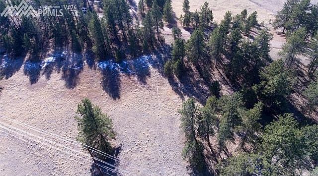 1st image of 239 Homestead Ln
