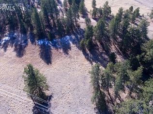 239 Homestead Ln, Florissant, CO 80816
