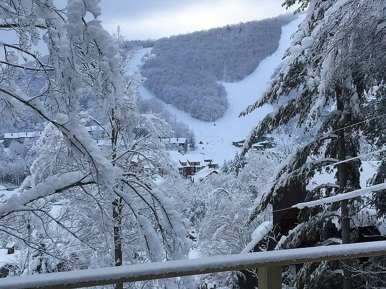 view of resort from living room