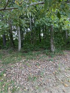 122 Fawn Ln, Killen, AL, 35645