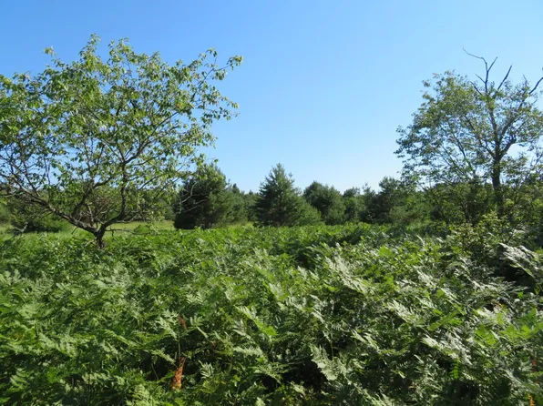 On Royalwood Ln, Rhinelander, WI 54501