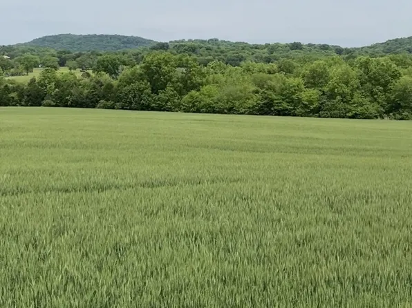 1437 Lauderdale Ln Lot 17, Bethpage, TN 37022