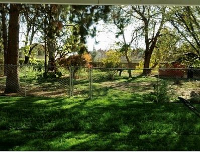 Fenced portion of back yard.