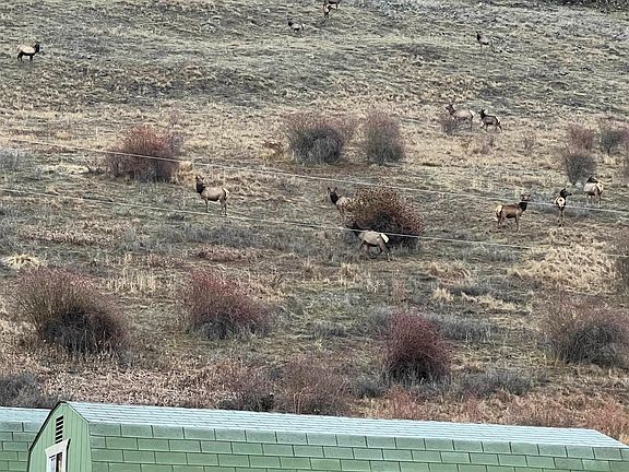 4th image of 497 Pheasant Dr