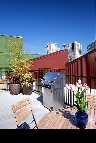 roof top for the 4th of july, and new years!
