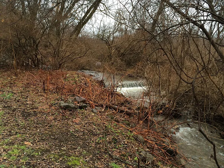 creek back behind deck