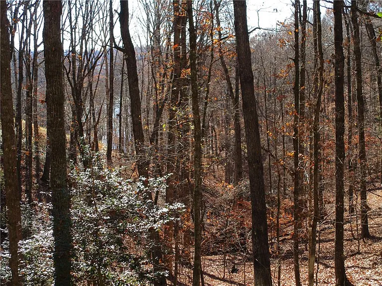 2429 Thompson Mill Rd — Photo 52