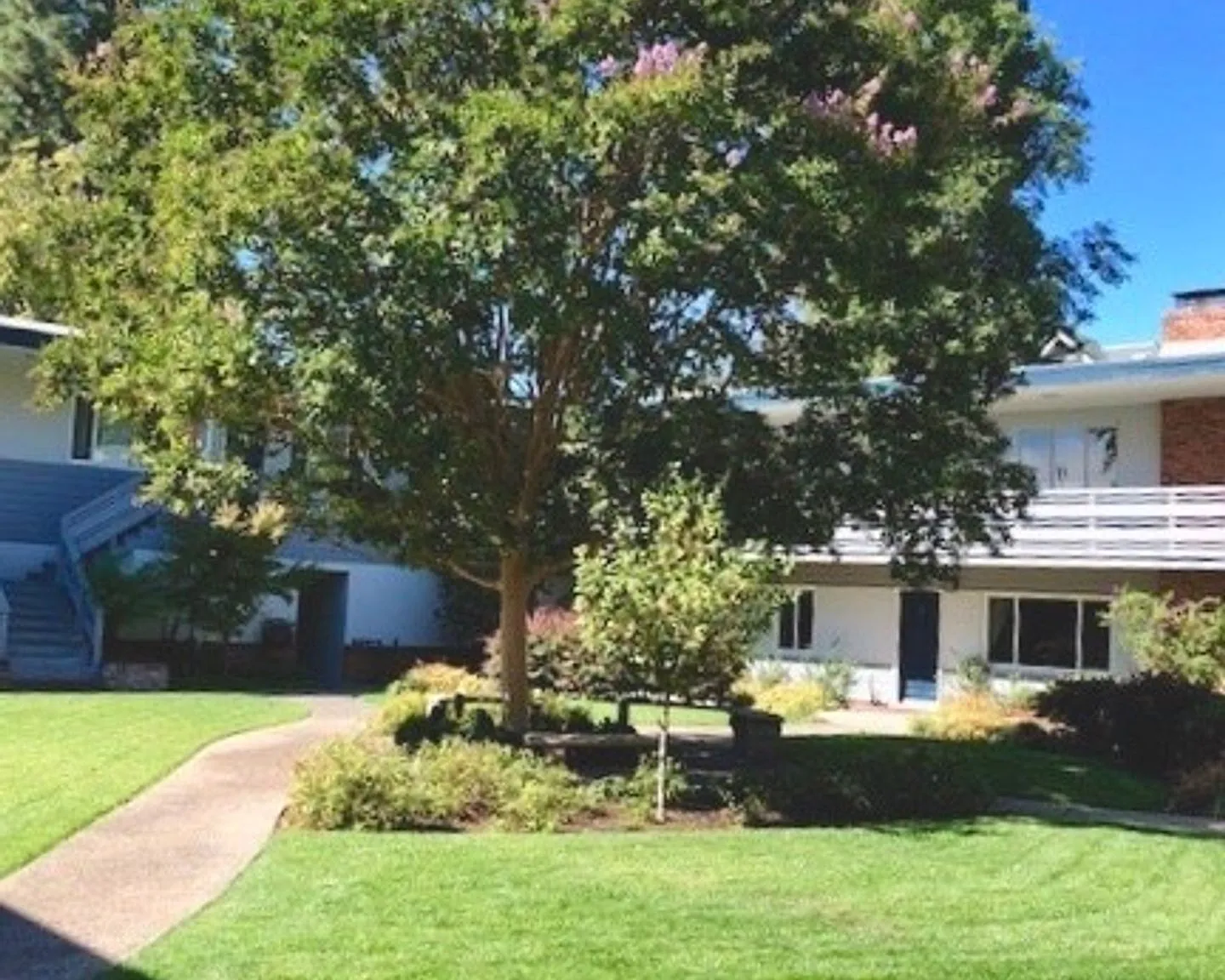 Noel Court Apartments — Photo 3